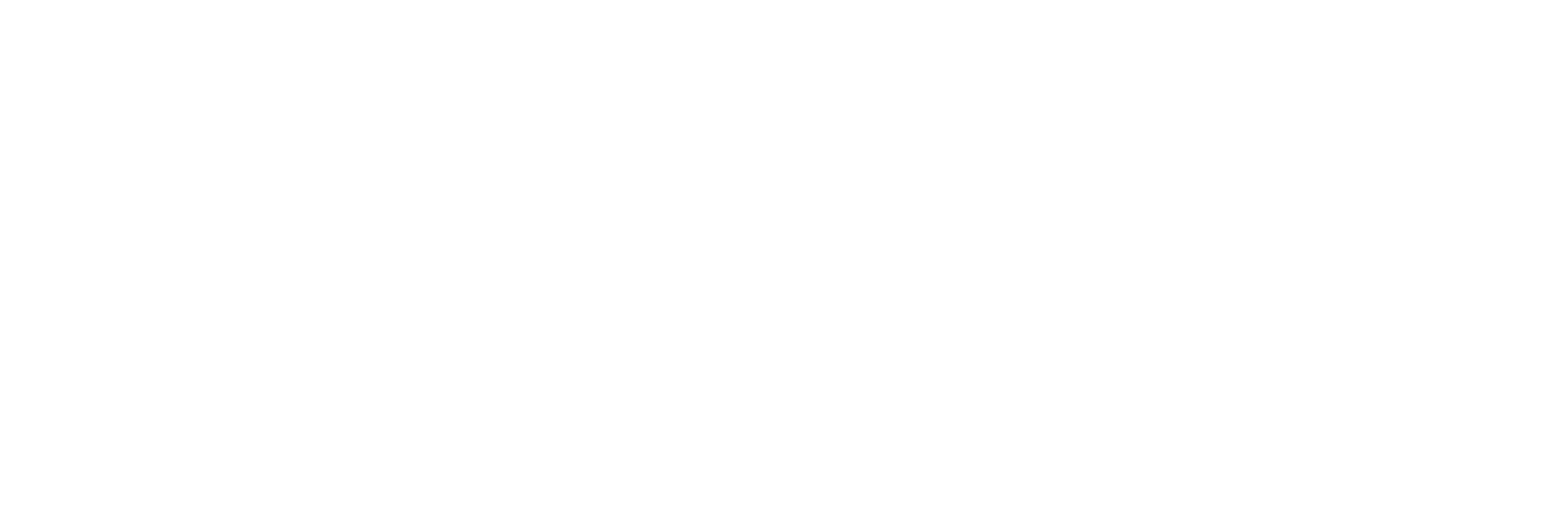 Kritivity Web Solutions